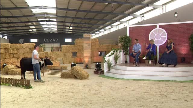 VANITY FARM, LA GALA - Capítulo 6