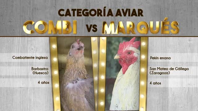 VANITY FARM, LA GALA - Capítulo 9