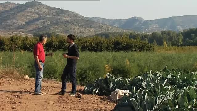 Mas de las Matas
