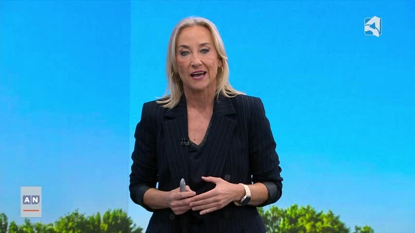 EL TIEMPO 1 - 11/06/2026 - 15:00