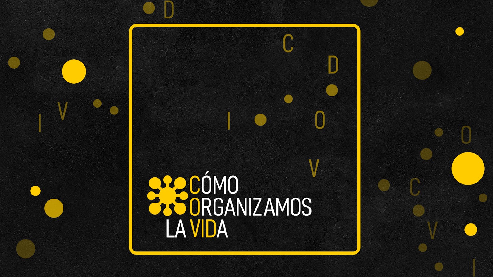 Cómo organizamos la vida