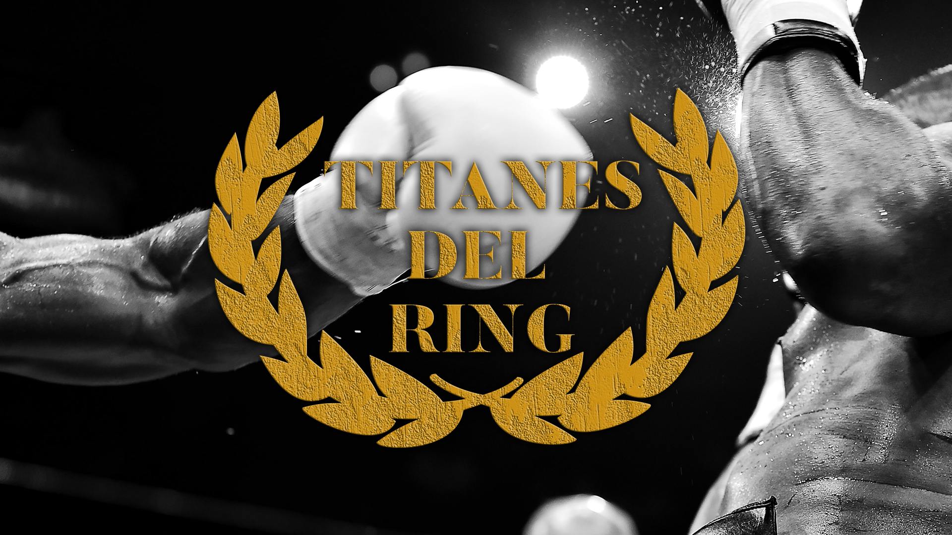 Titanes del ring