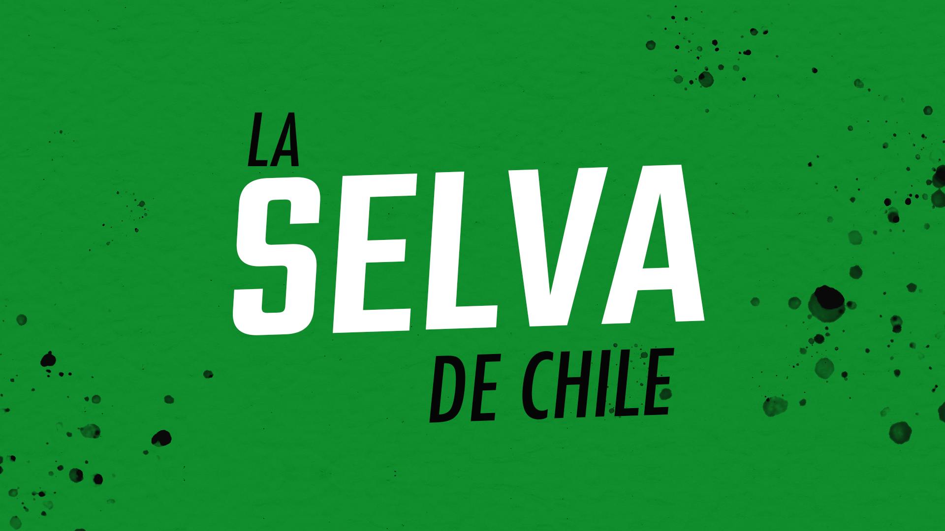 La selva de Chile