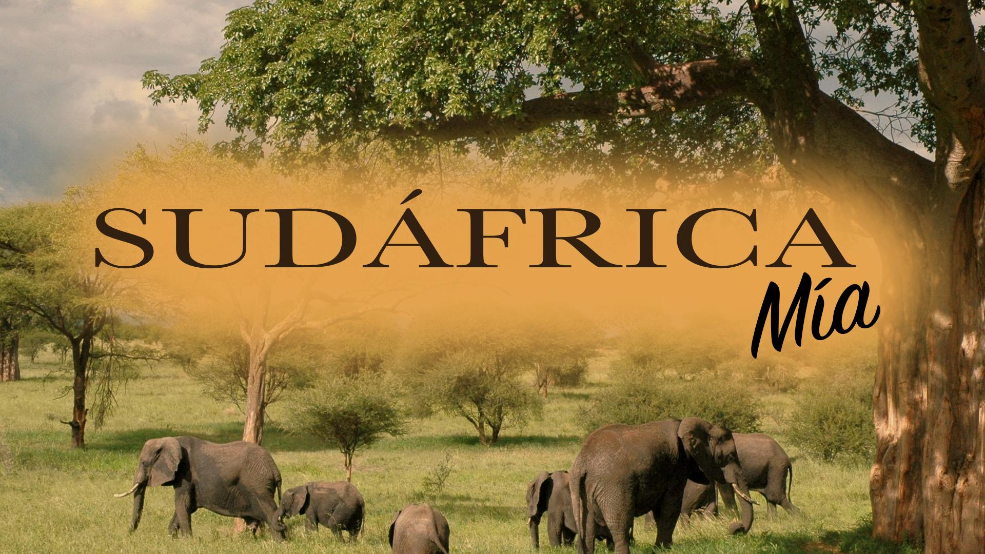 Sudáfrica mía