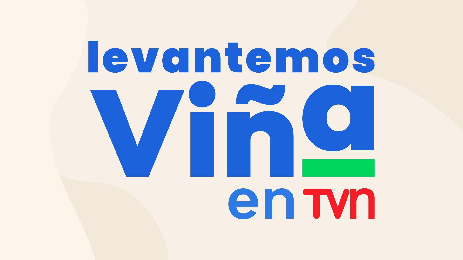 Levantemos Viña en TVN