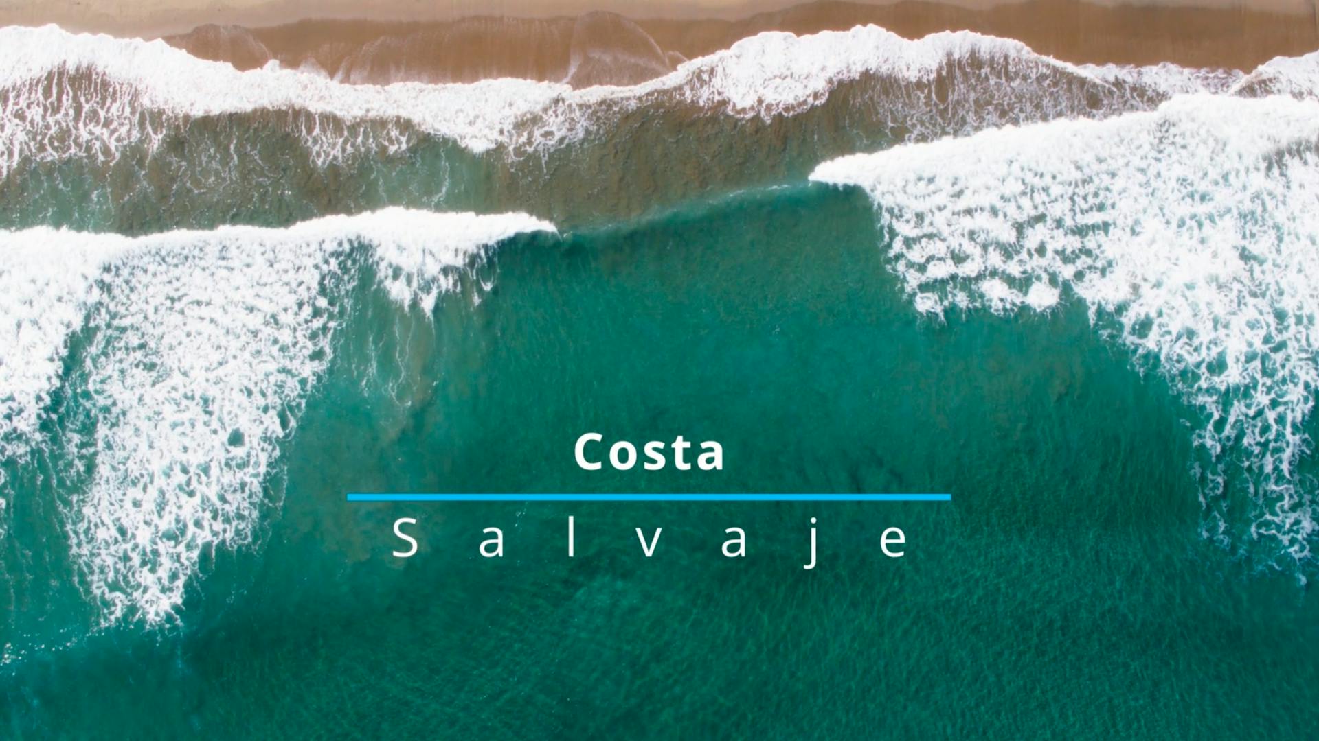Costa salvaje