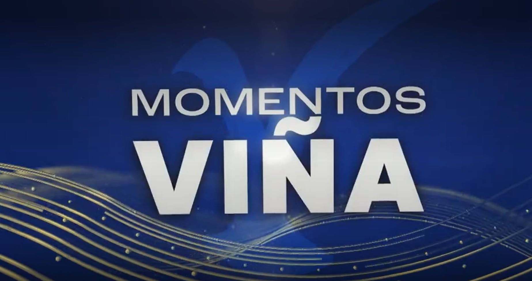 Momentos Viña en NTV