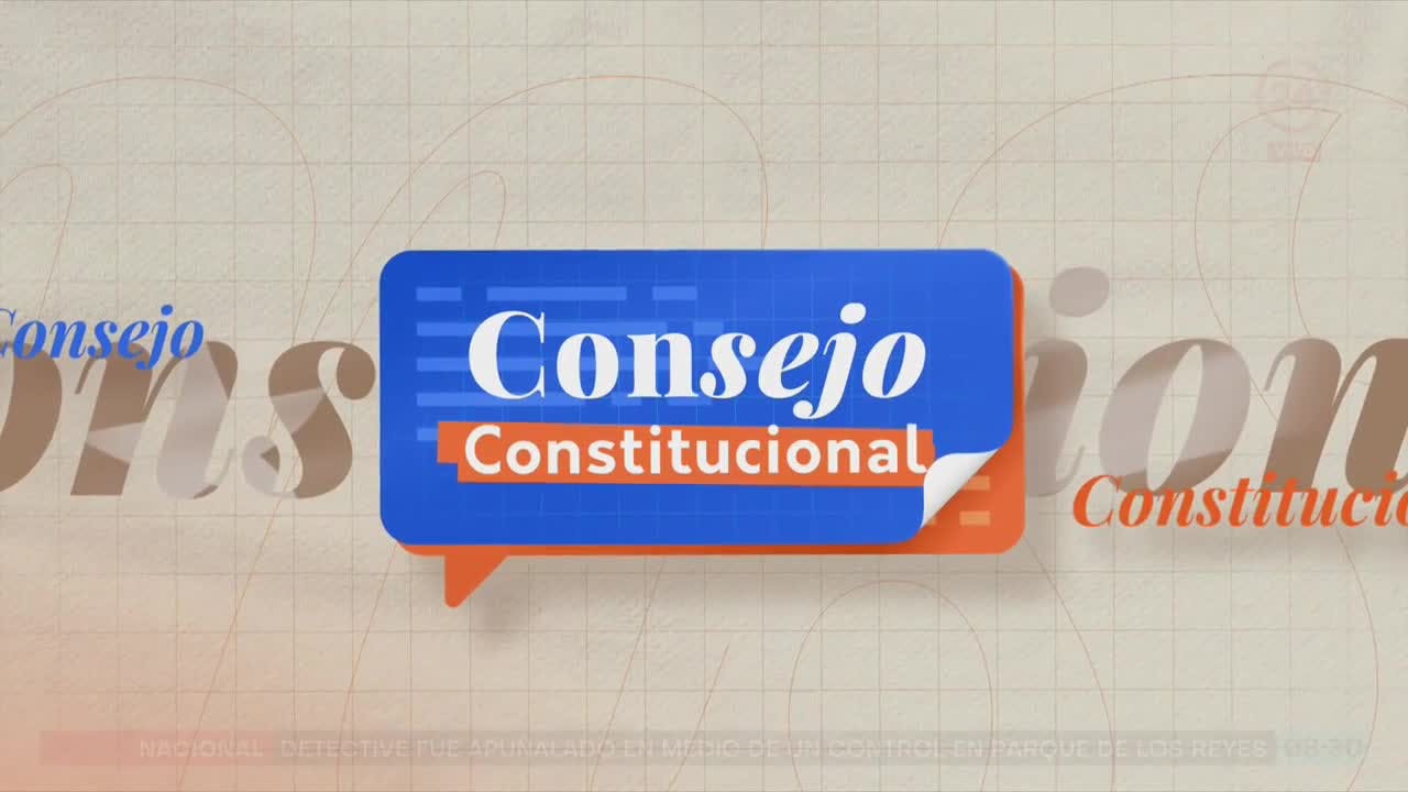 Consejo Constitucional