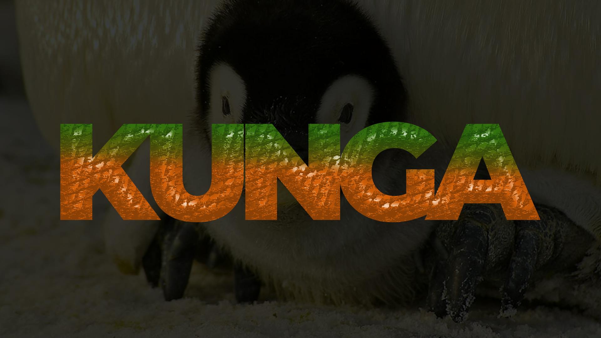 Kunga