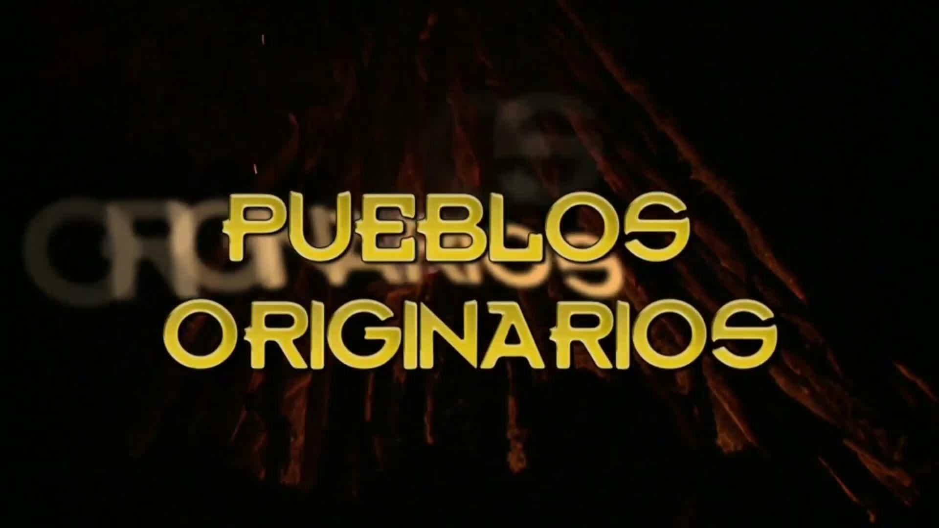 Pueblos Originarios