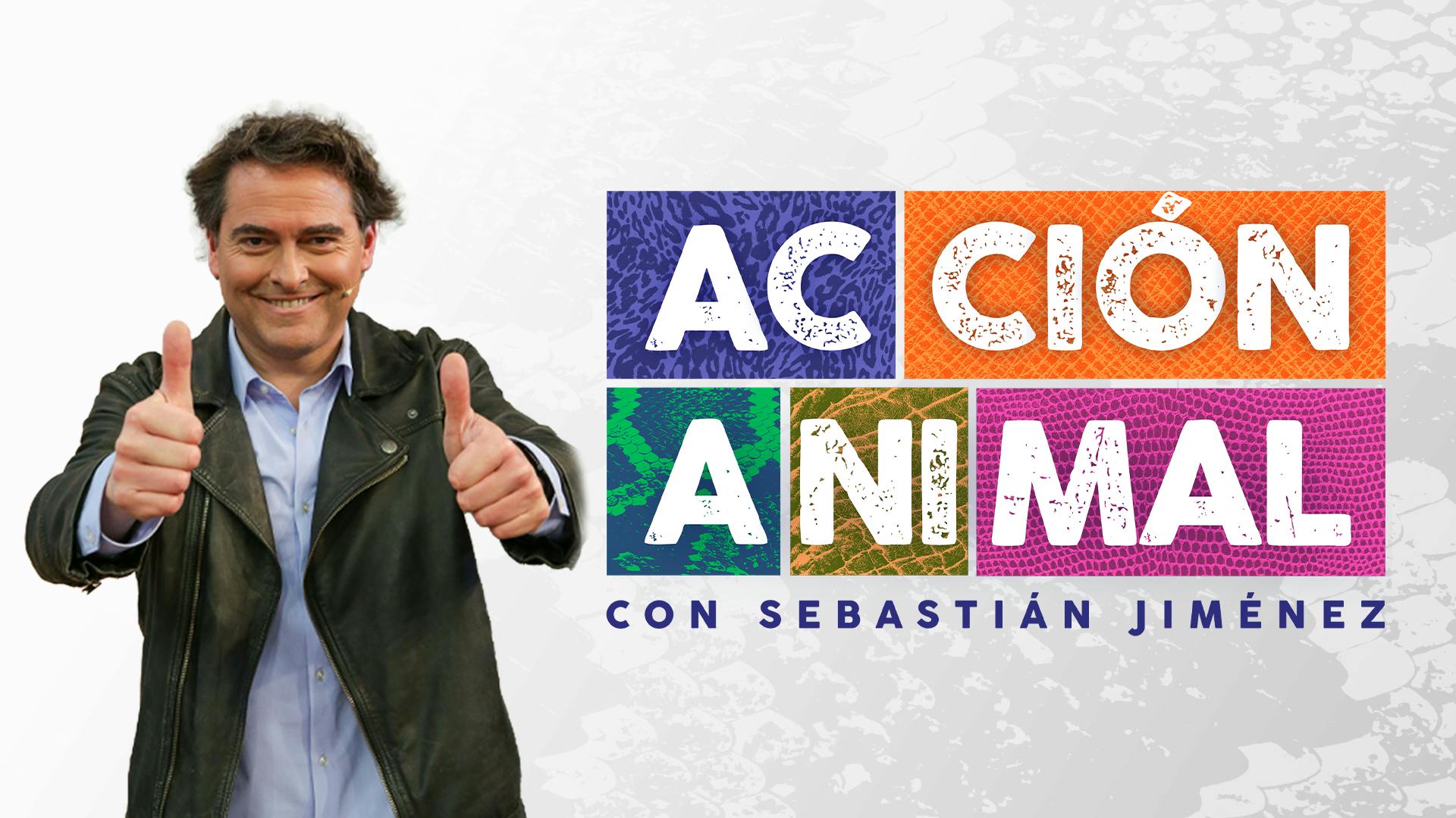 Acción animal