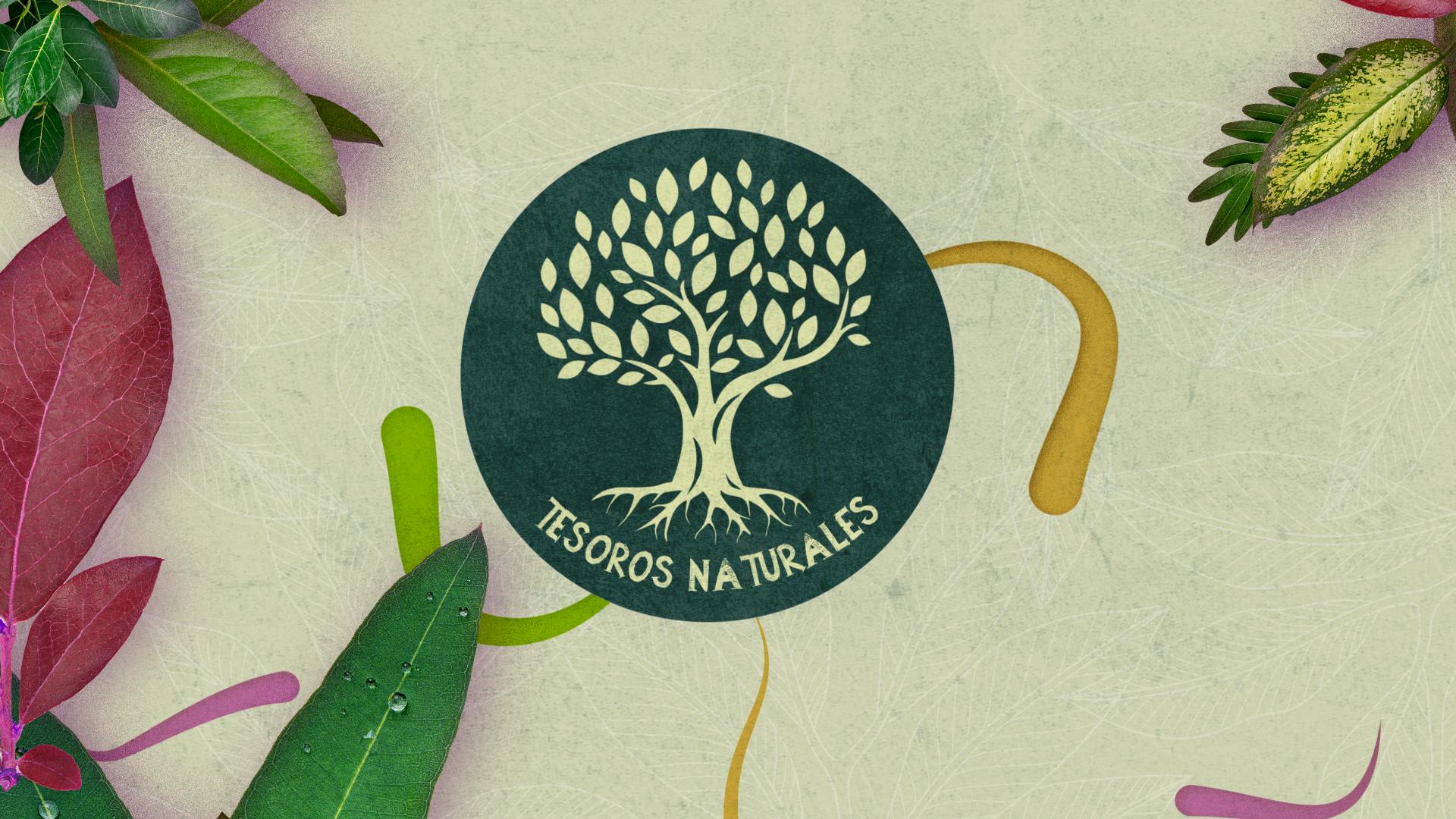 Tesoros Naturales