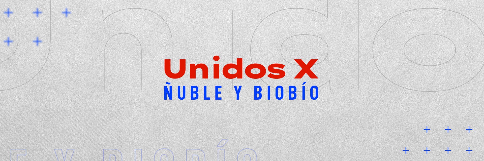 Unidos por Ñuble y Biobío