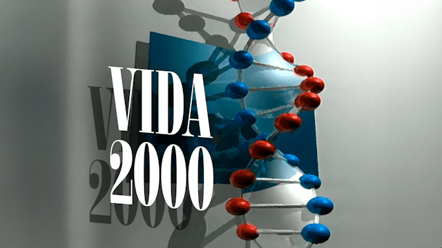 Vida 2000