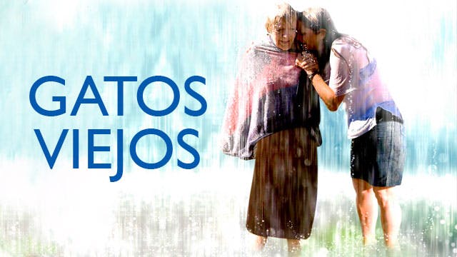 Gatos viejos
