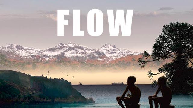 Flow