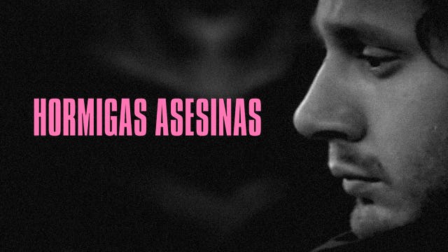 Hormigas asesinas