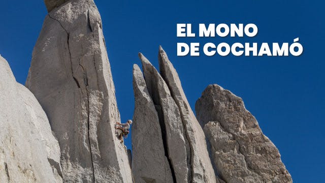 El Mono de Cochamó
