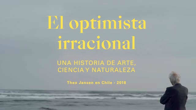 El optimista irracional