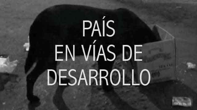 País en vías de desarrollo