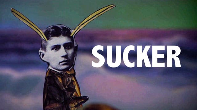 Sucker