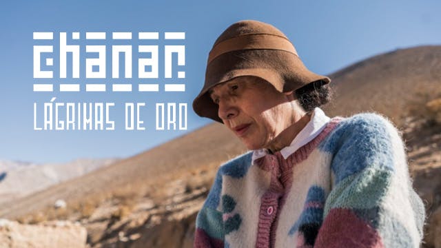 Chañar, lágrimas de oro