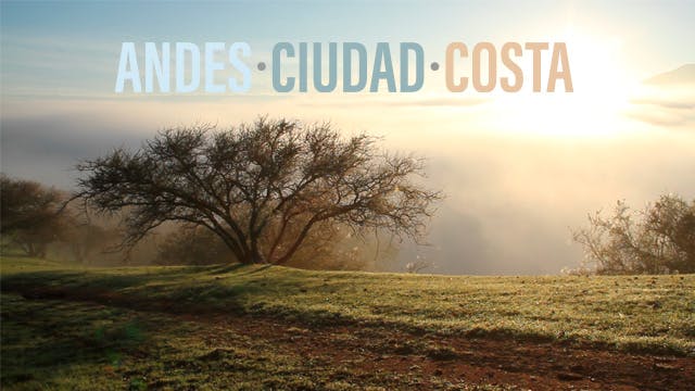 Andes, ciudad, costa