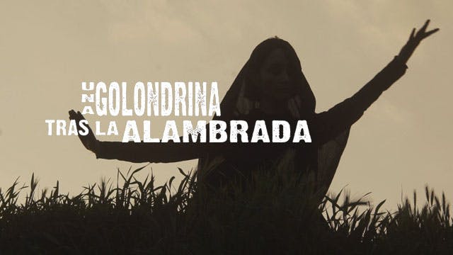 Una golondrina tras la alambrada