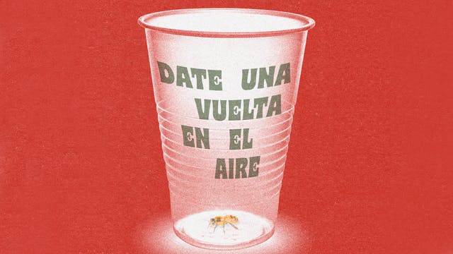 Date una vuelta en el aire