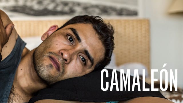 Camaleón
