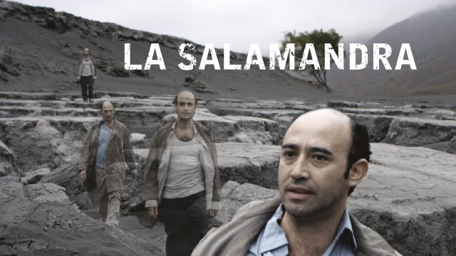 La salamandra