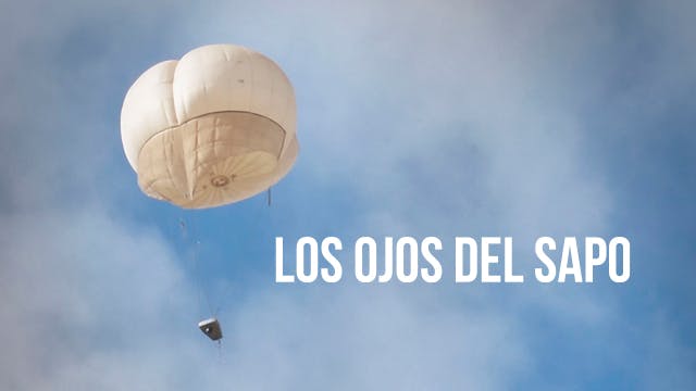 Los ojos del sapo