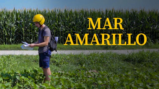 Mar amarillo