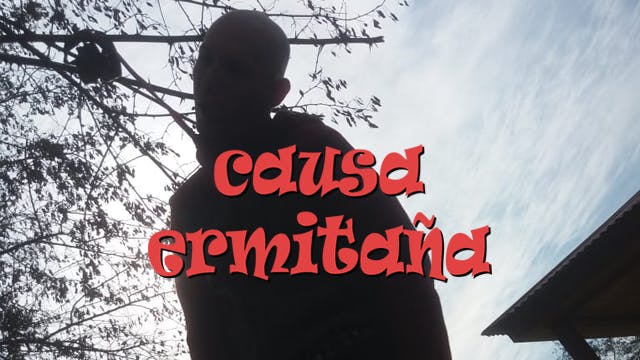 Causa ermitaña