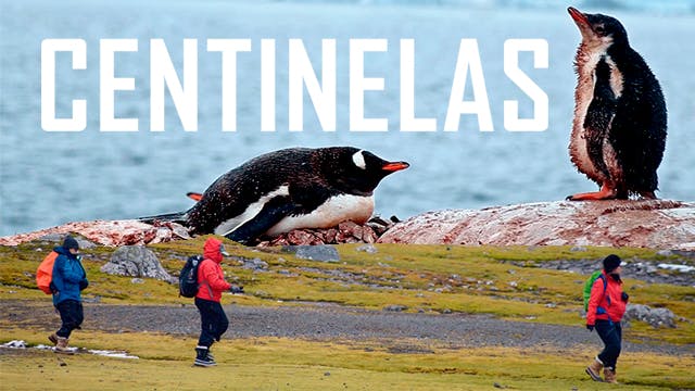Centinelas