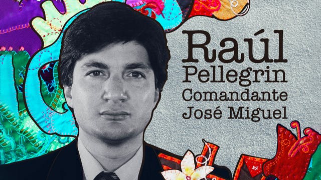 Raúl Pellegrin, comandante José Miguel