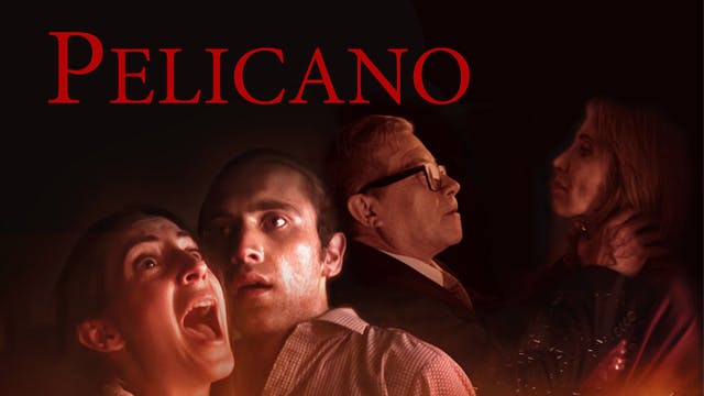 Pelícano