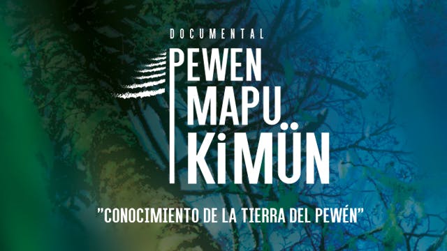 Pewen mapu kimun