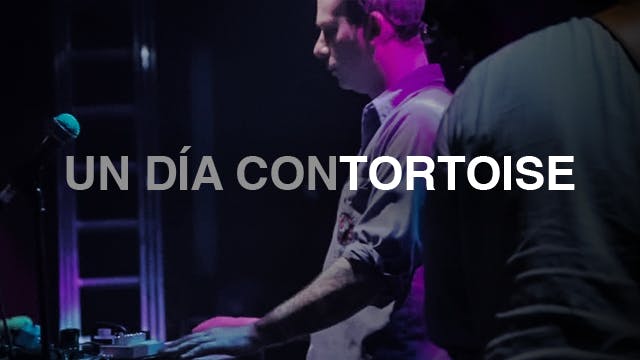 Un día con Tortoise