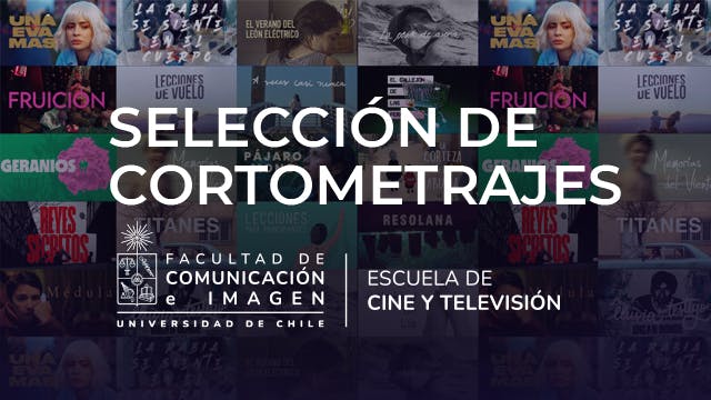 Selección Escuela de Cine y TV Universidad de Chile