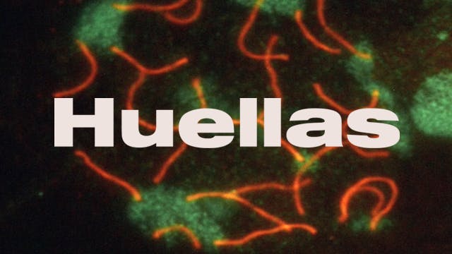 Huellas