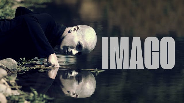 Imago