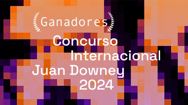Ganadores concurso internacional Juan Downey 2024