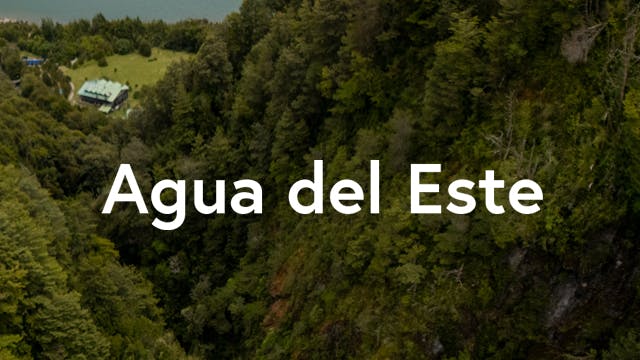 Agua del este