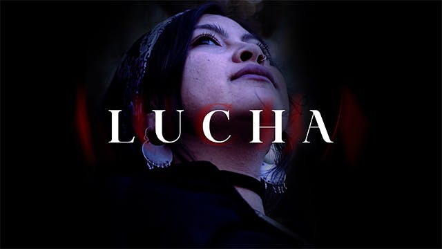 Lucha