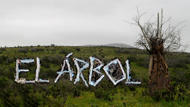 El árbol