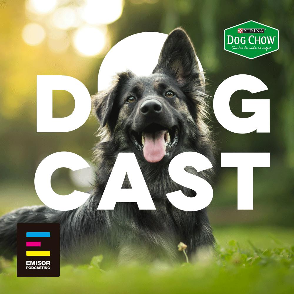 DogCast