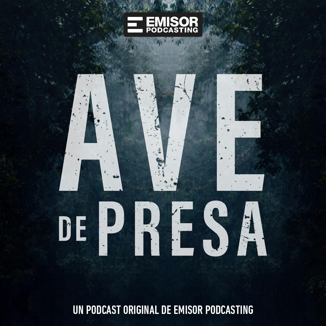 Ave de Presa