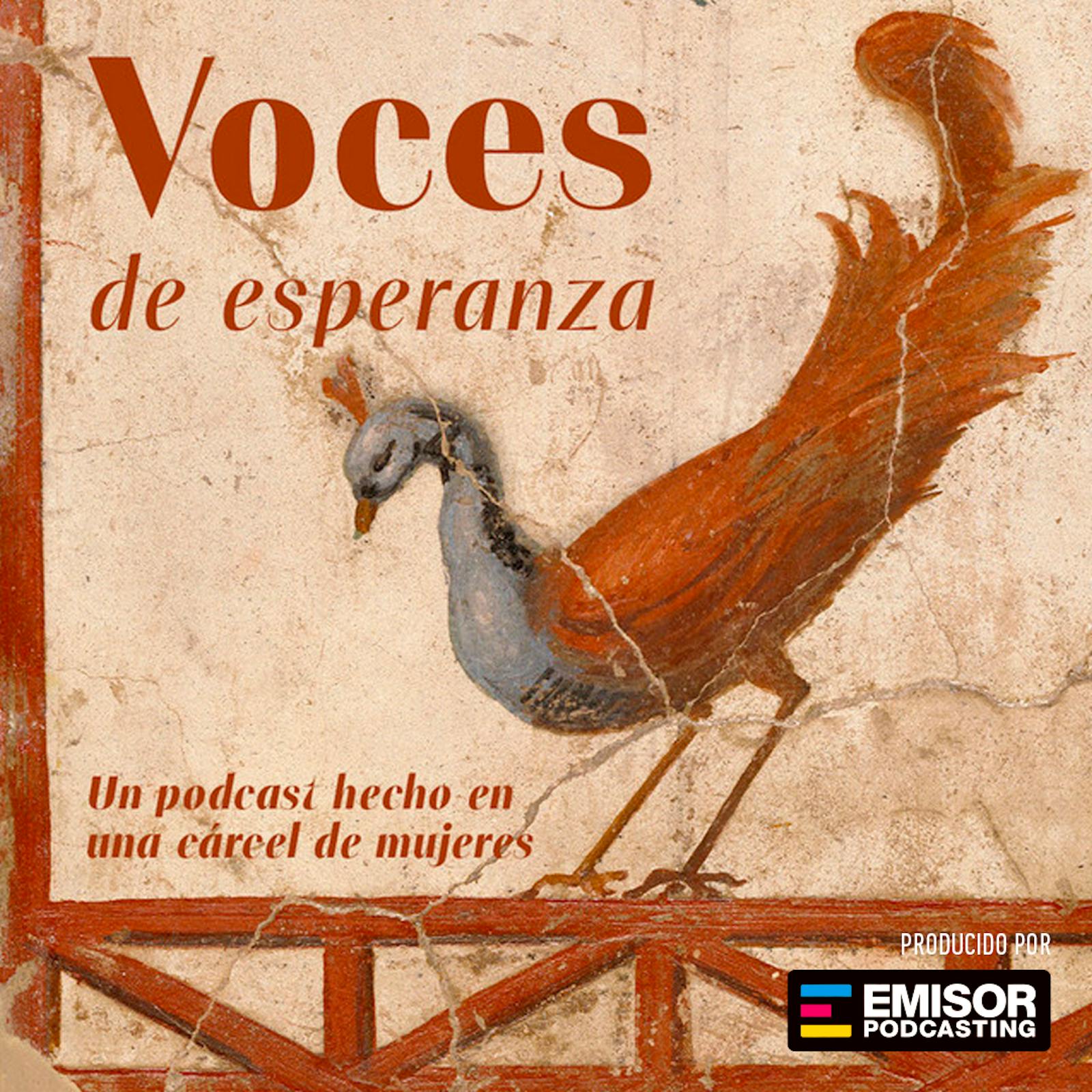 Voces de Esperanza podcast artwork