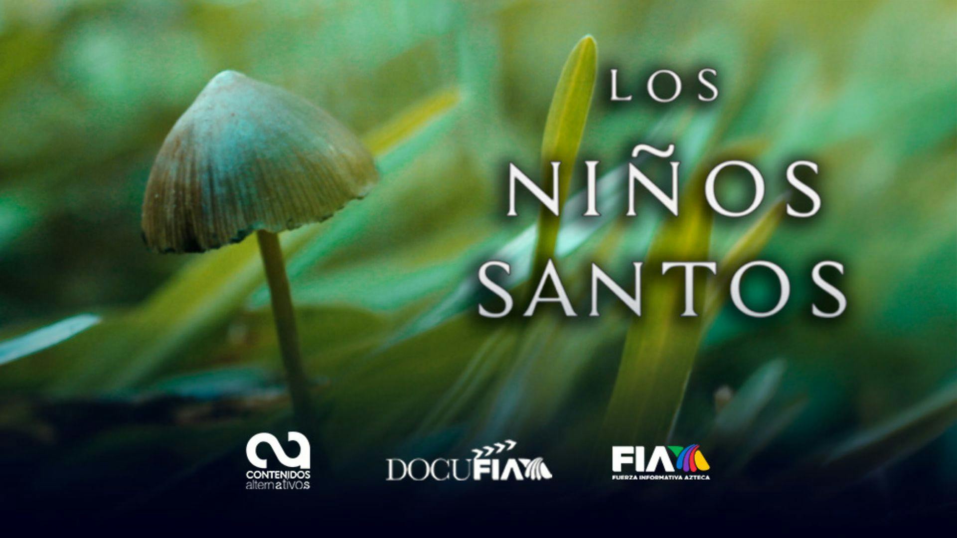 DocuFIA: Niños santos